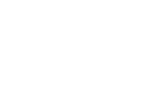 thecutNYmag-white.png